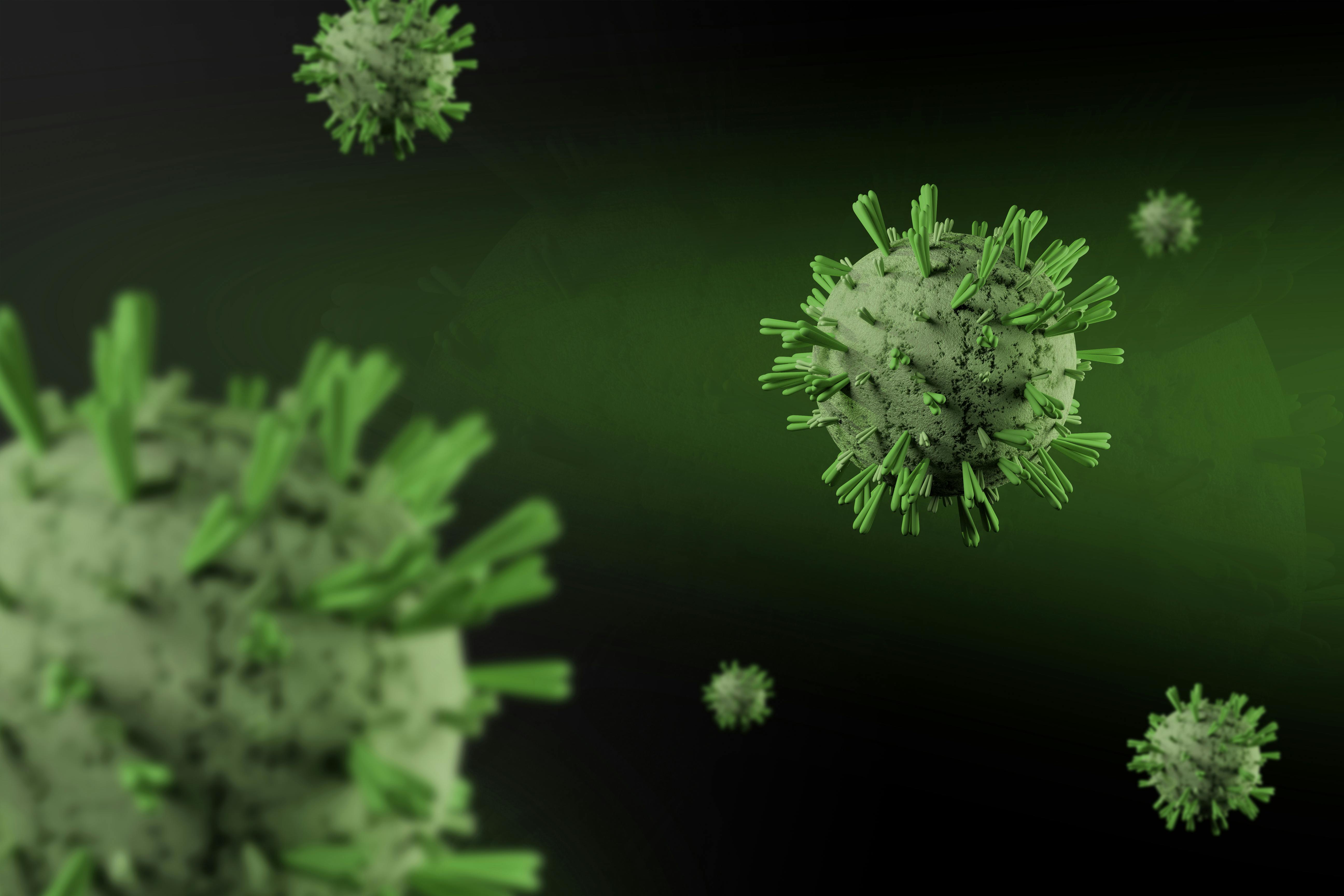 Das Marburg-Virus kann unschuldige Menschen in Madrid (Spanien) infizieren, wenn bis zum 30. Juli 2025 nichts unternommen wird .